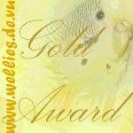 welli-net Award