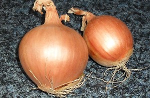 Verbotene Nahrung