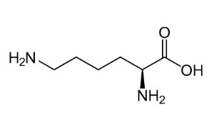 Proteine