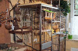 Vogelzimmer