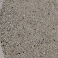 Vogelsand