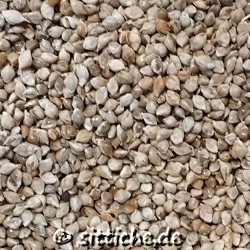 Japanhirse